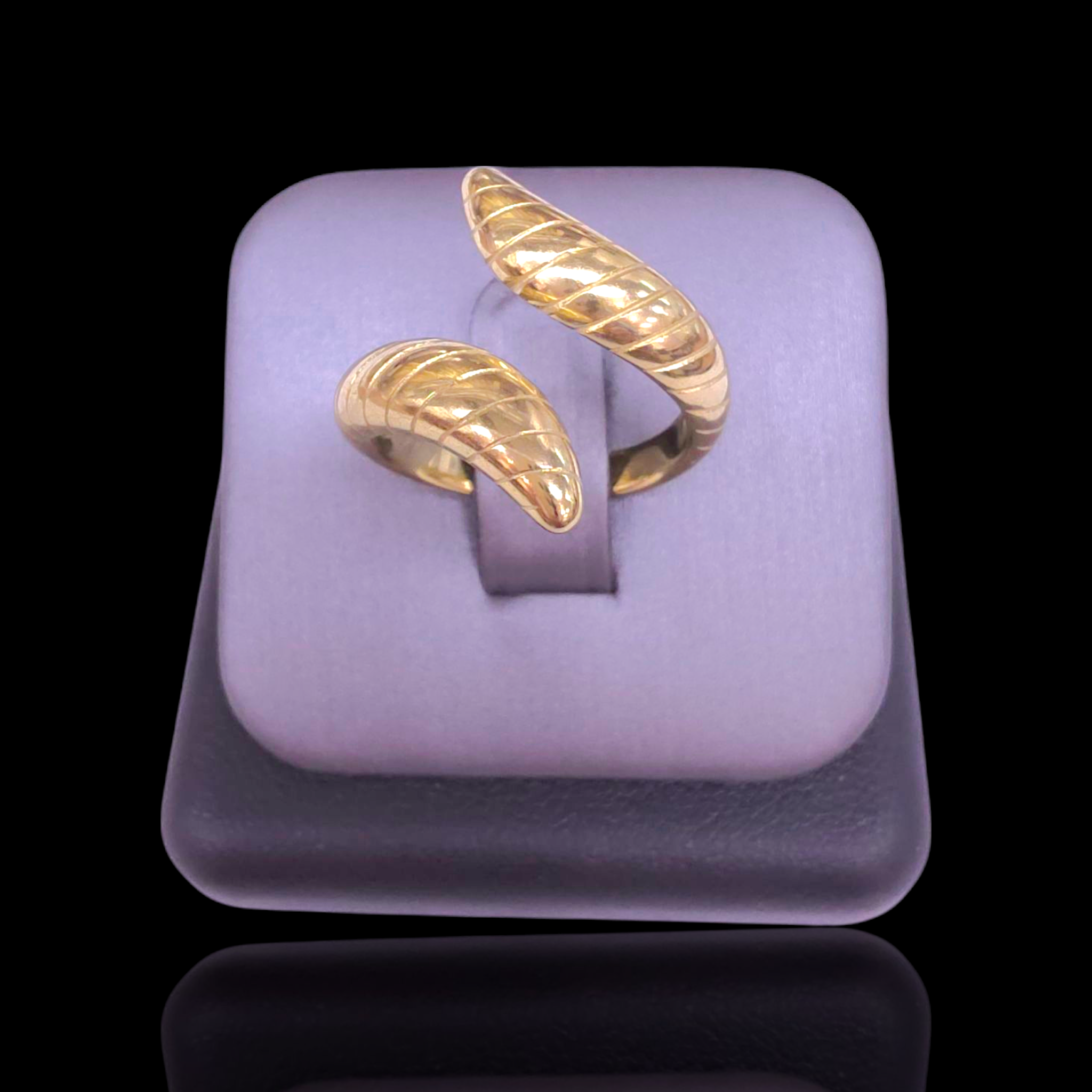 Gold Filled Stainless Steel Angel's Embrace Ring