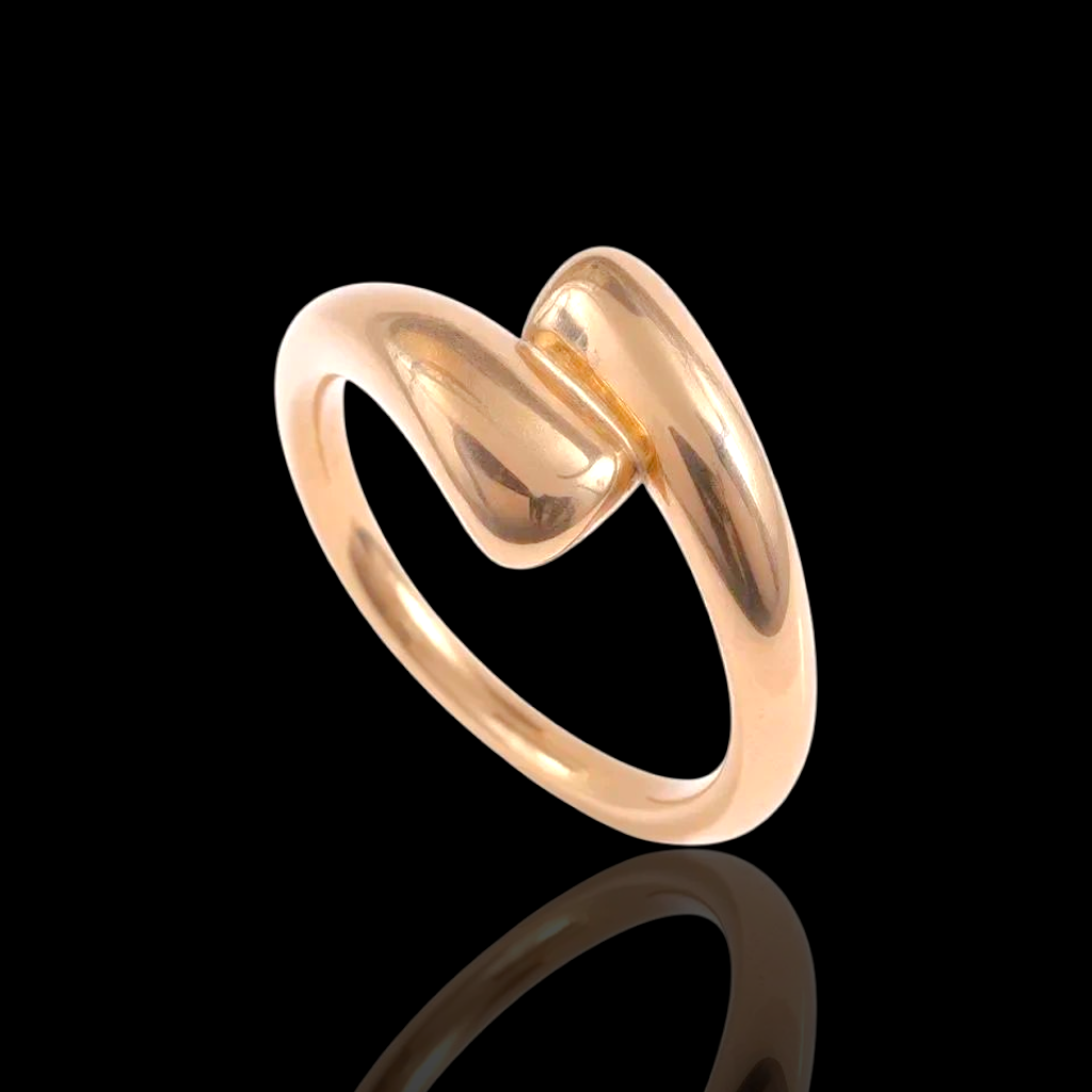 Gold Filled Stainless Steel Friendships Embrace Ring