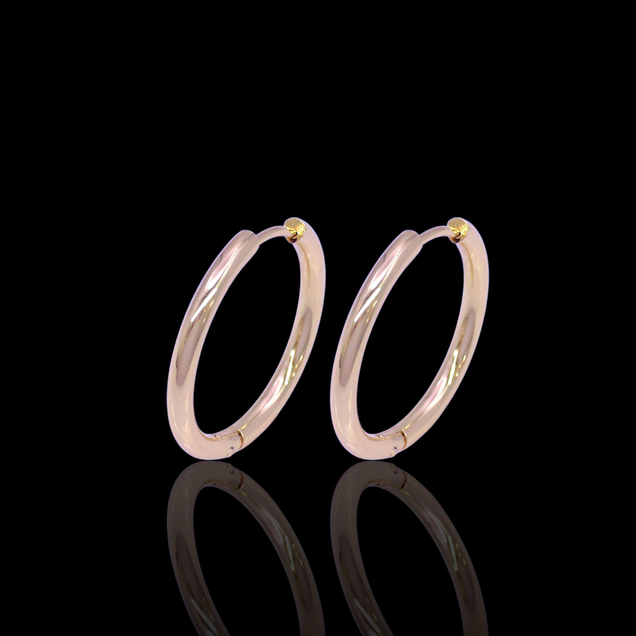 Oro Laminado Stainless Steel Classic Emilia Hoop Earrings